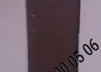 дверь1